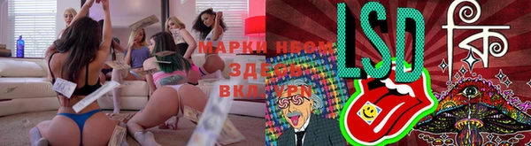 герыч Корсаков